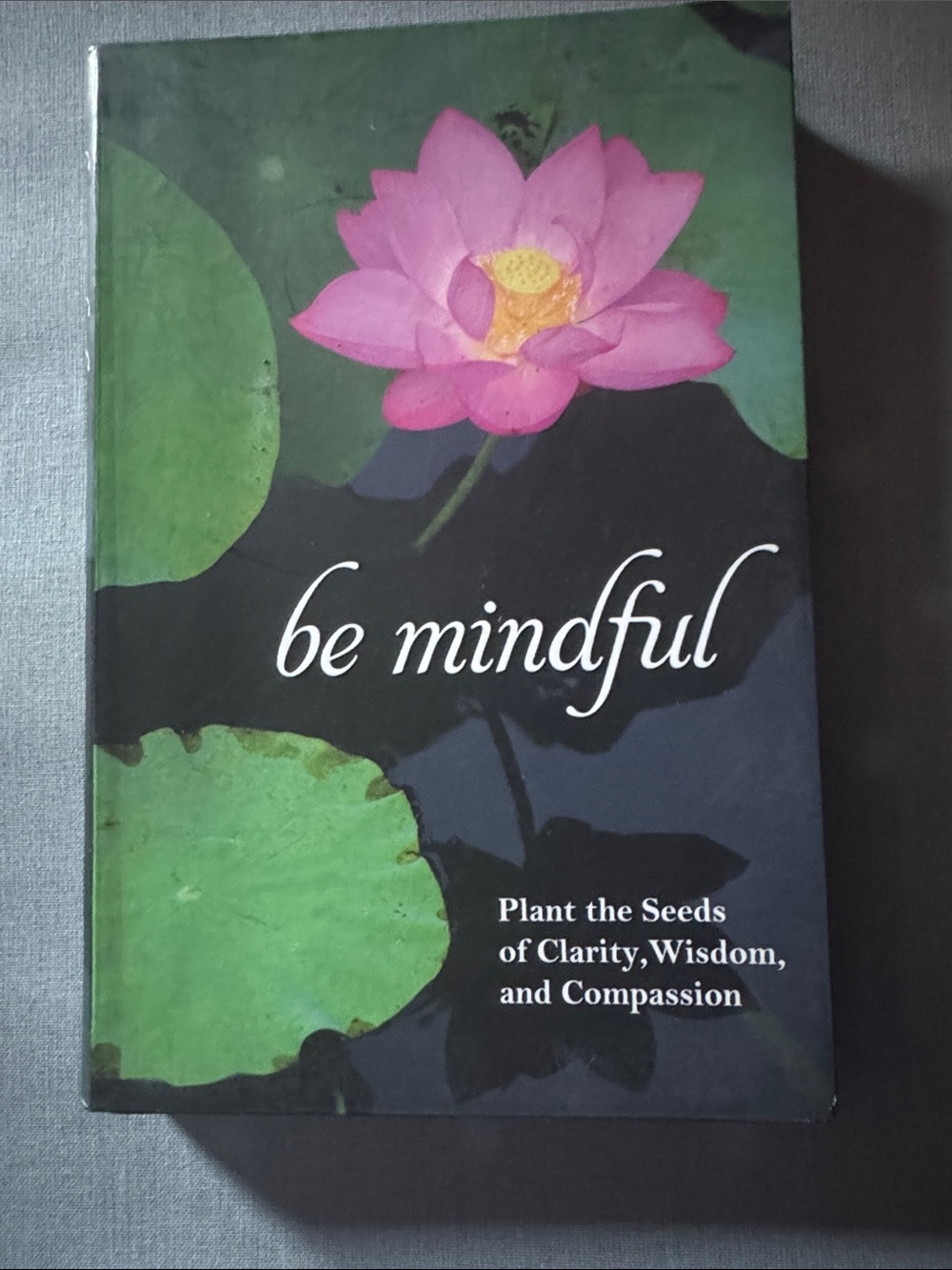 Be Mindful Book